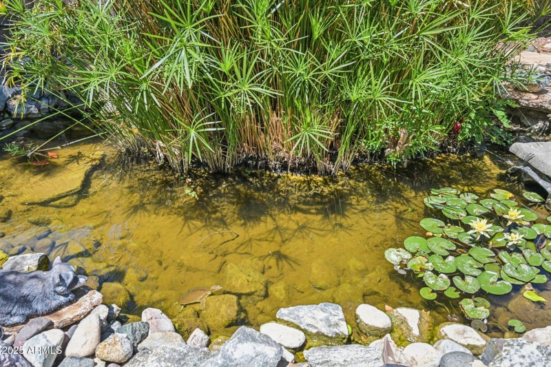 44-web-or-mls-W Michelle Dr-S0508-044