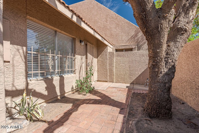 Photo Jul 26 2025, 10 45 09 PM