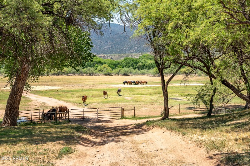 707 Quarterhorse Ln Camp Verde AZ-68