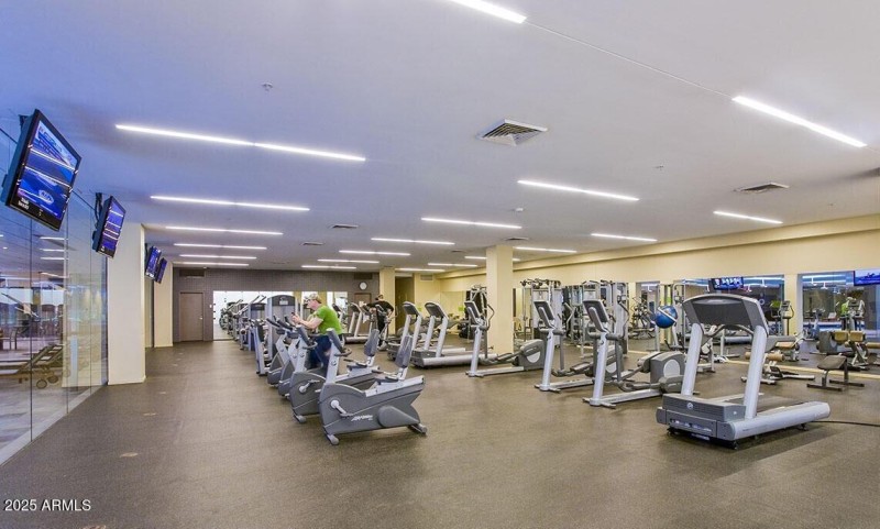 optima camelview gym