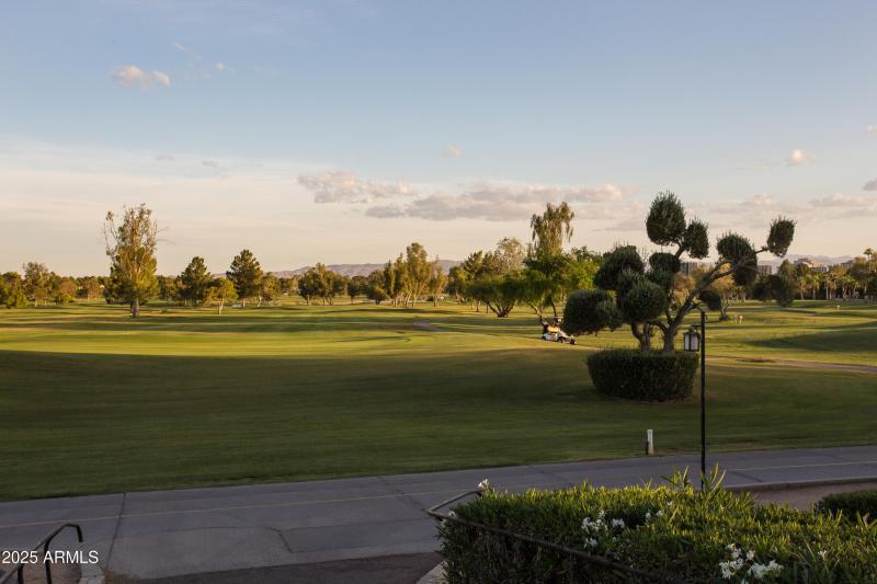 Golf Course - Fairway