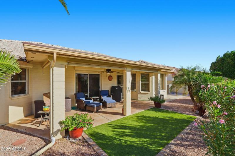 South-Facing Backyard