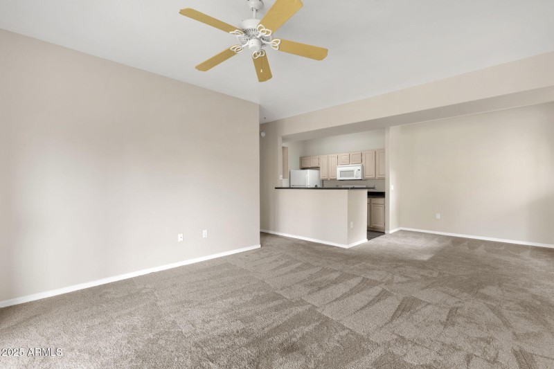 15-web-or-mls-13700-n-fountain-hills-blv