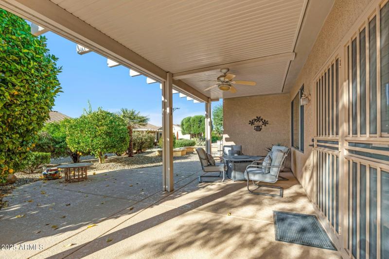 Surrounded by Citrus Trees