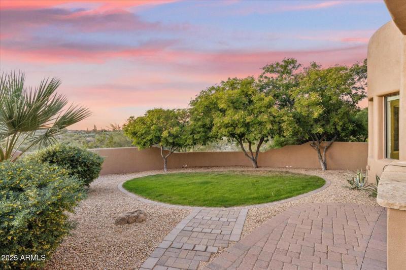 Patch of Grass at Sunset