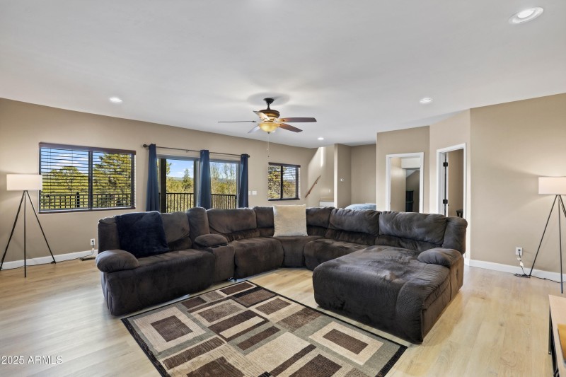 Downstairs Family Room