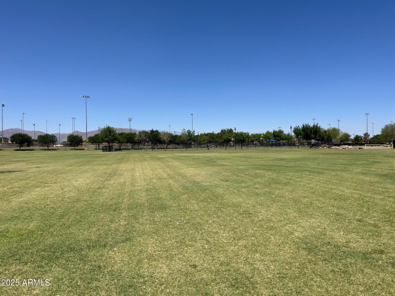 Surprise Farms Dog Park