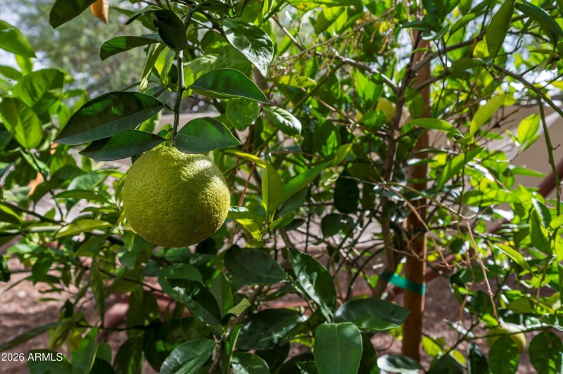 74-7969 E Baker Dr Scottsdale-74