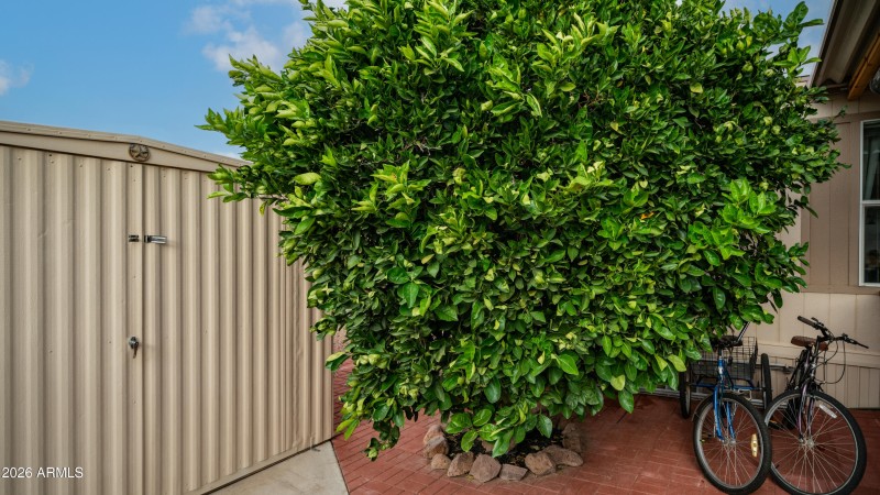 747 E Germann Rd Lot 92-10