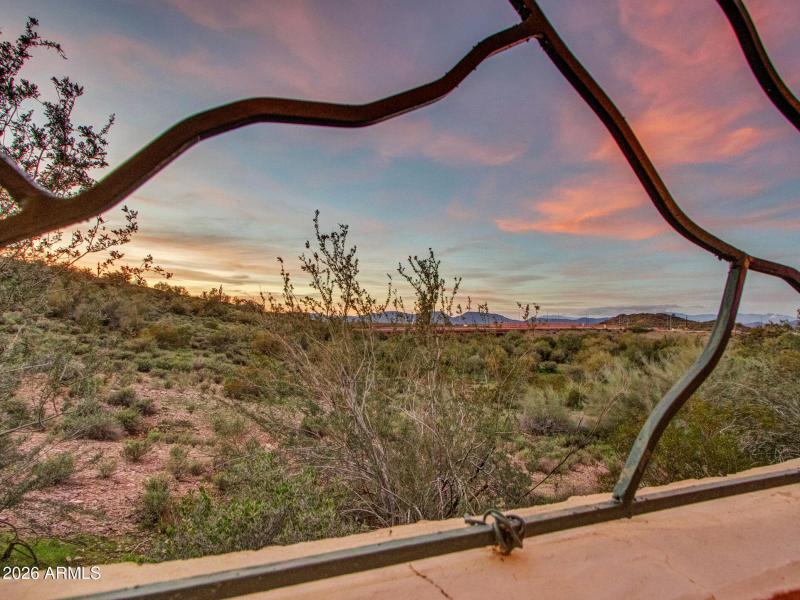 Evening_03-Backyard--(12)