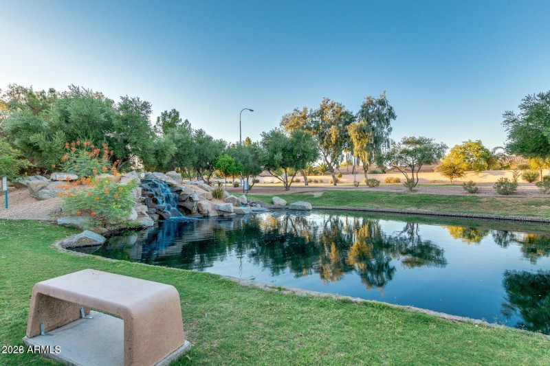 PARKLIKE SETTING IN OCOTILLO