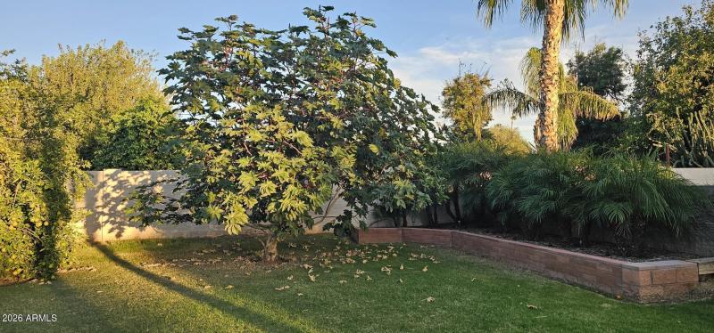 Resized_20251108_170144 (3)(1)