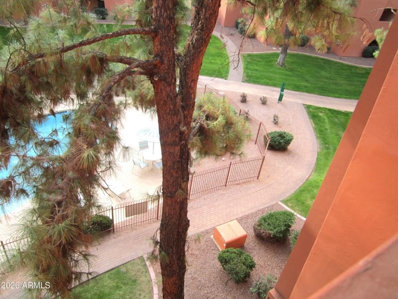 2 411 ZOOM VIEW WLAKING PATHS