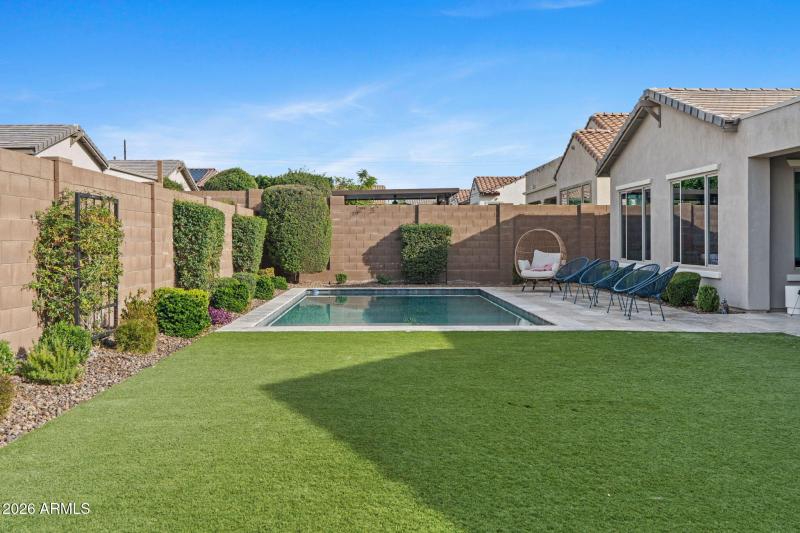 Turf- Low Maintenance Yard