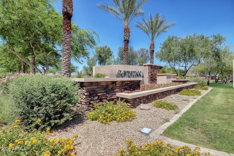 12 Beautiful Cortessa!