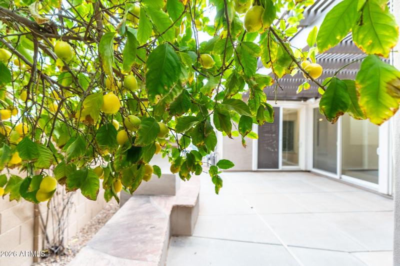 7-web-or-mls-DSC00927-HDR