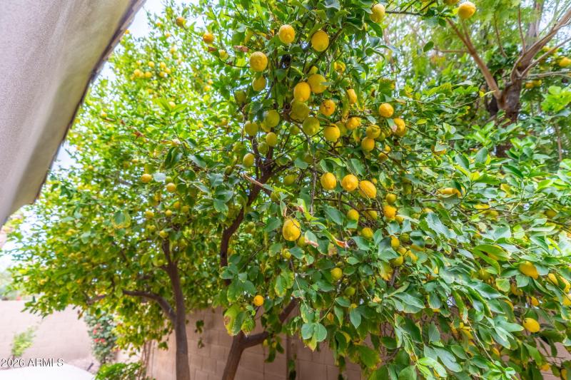 8-web-or-mls-DSC00930-HDR