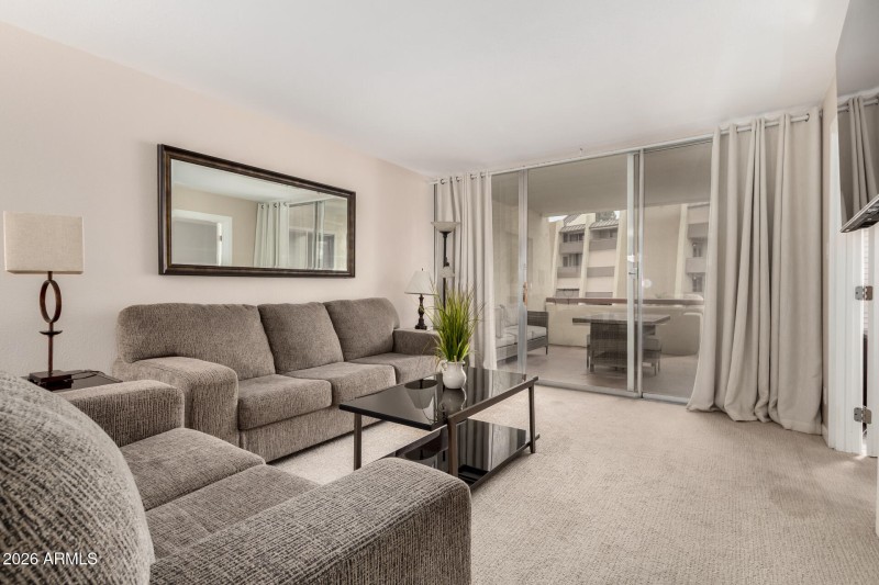 Living Room & Patio View