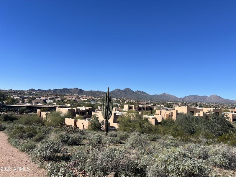 Elevated Trail Perspectives