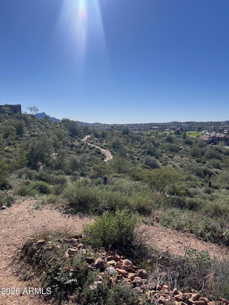 Neighborhood Walking Trails