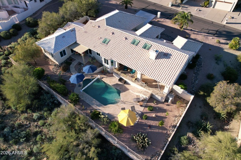 Nestled in the Trees