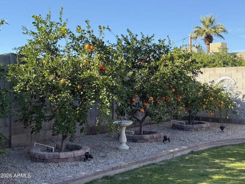 Fruit trees