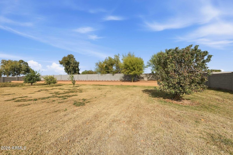 Fruit producing trees