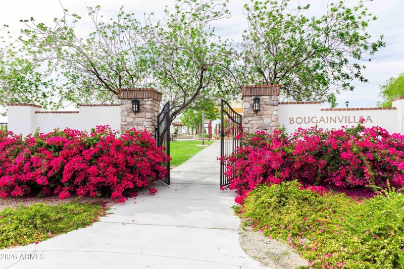 Estrella_Bougainvillea Park_No People