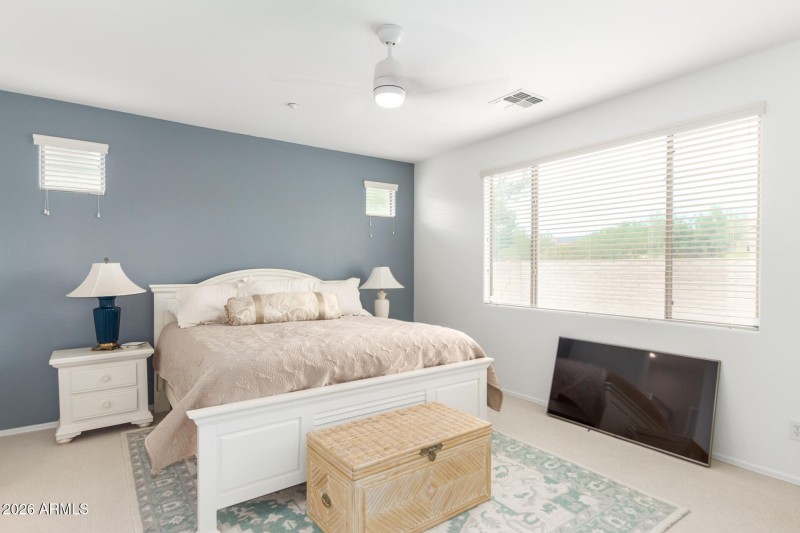 0020-20 Dove Wing 12122