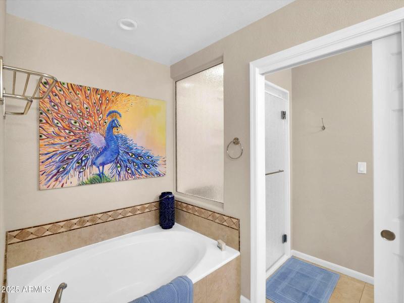 Master Bath & Closet (2)