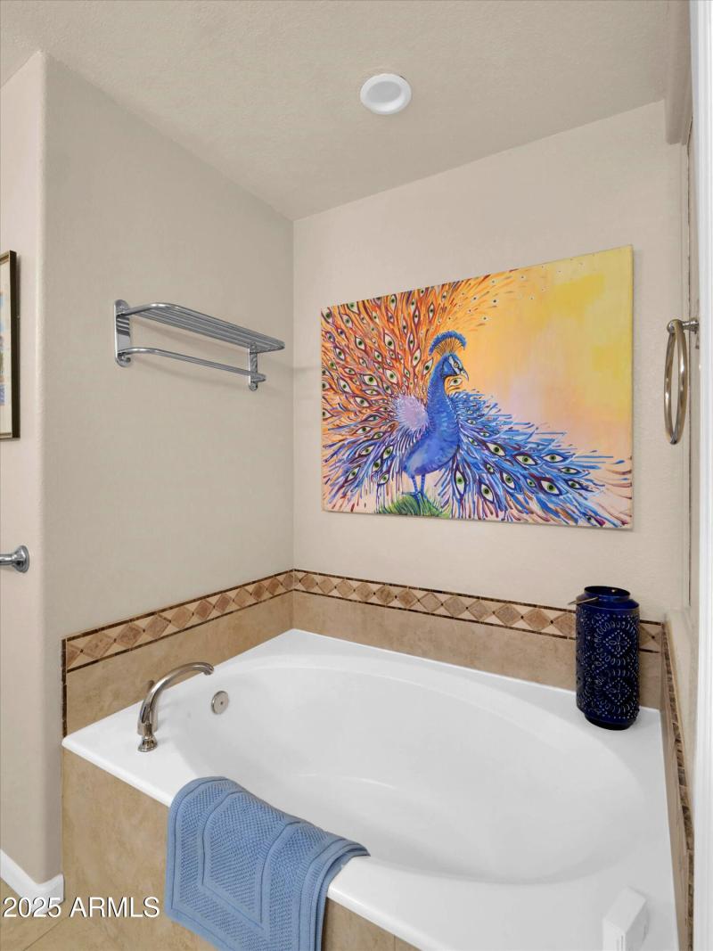 Master Bath & Closet (6)