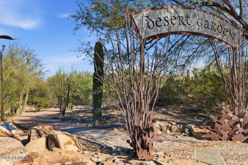 Sonoran Desert Trails
