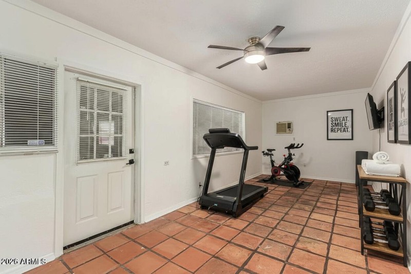 back room - home gym