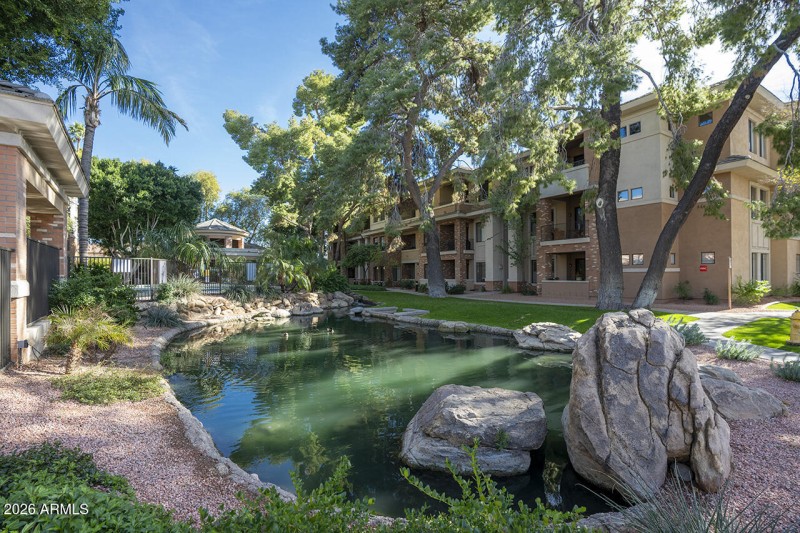 Lush & Mature Landscaping