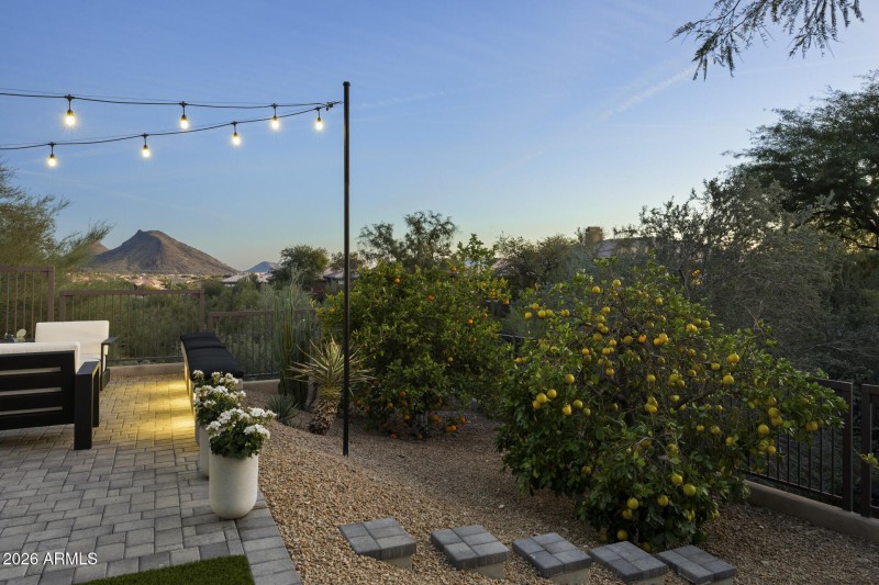 Open space behind home and on one side