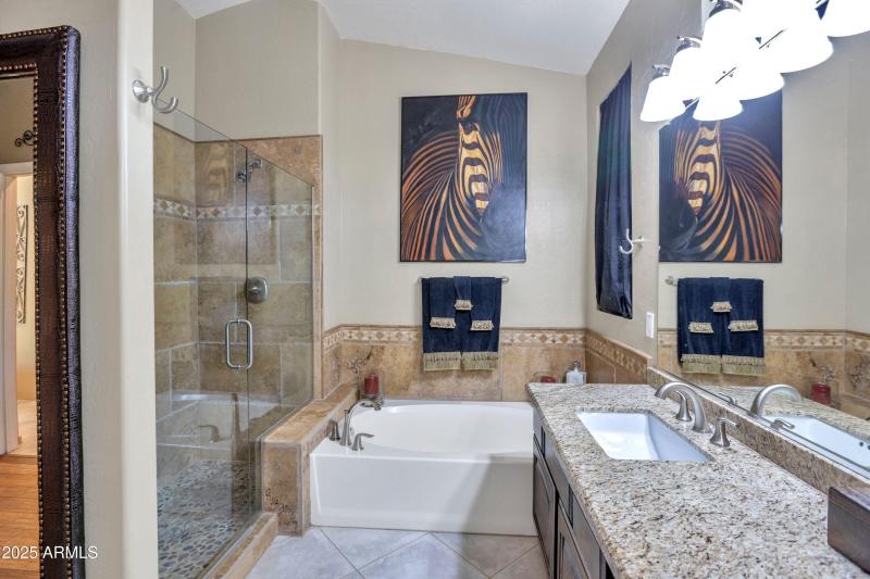Master tub and separate shower