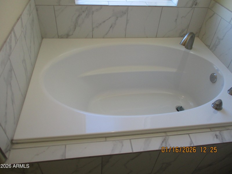 master bath garden tub