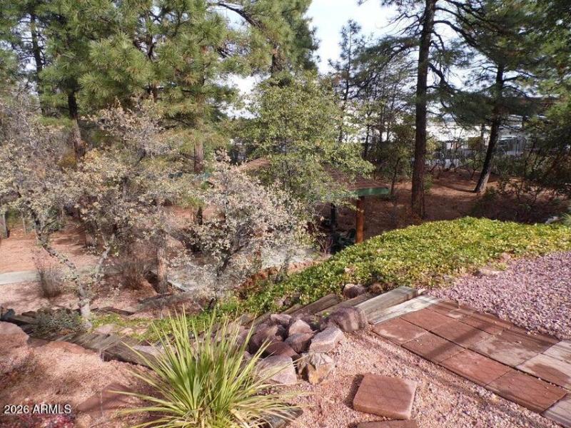 101 forest dr backyard other pic 4