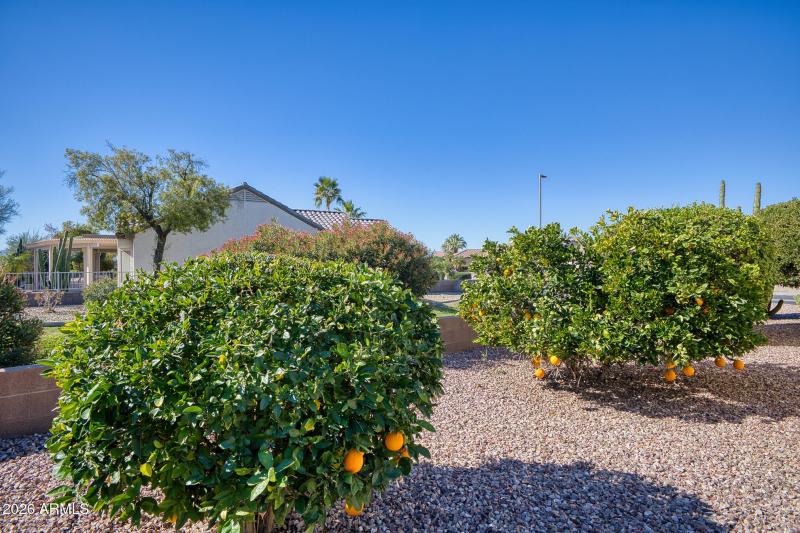 Common Area Side Yard