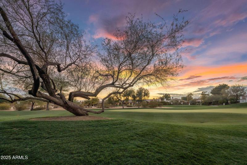 First Hole TPC with Sunset View
