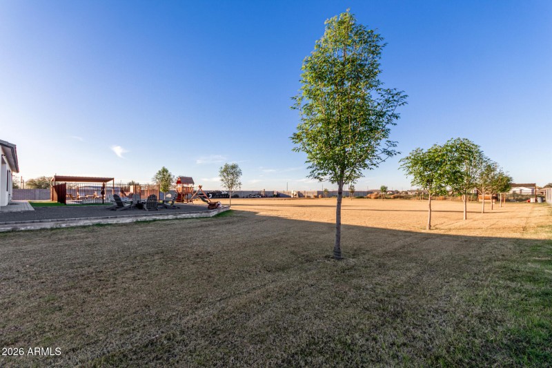 49 - Fieldview 20-01-2026