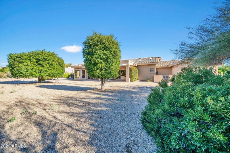 Large level backyard