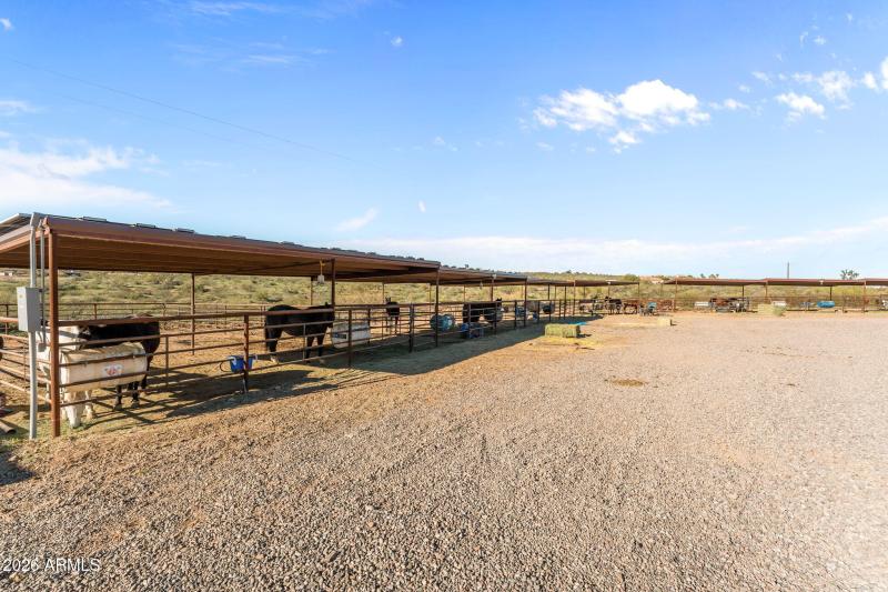 38-web-or-mls-DSC02790