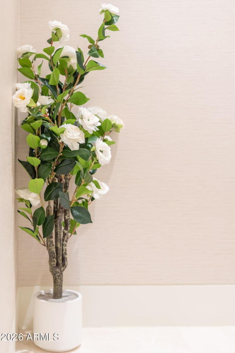 77-web-or-mls-DSC04488