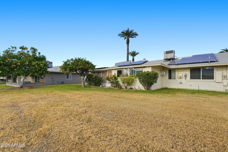 backyard/common area greenbelt view