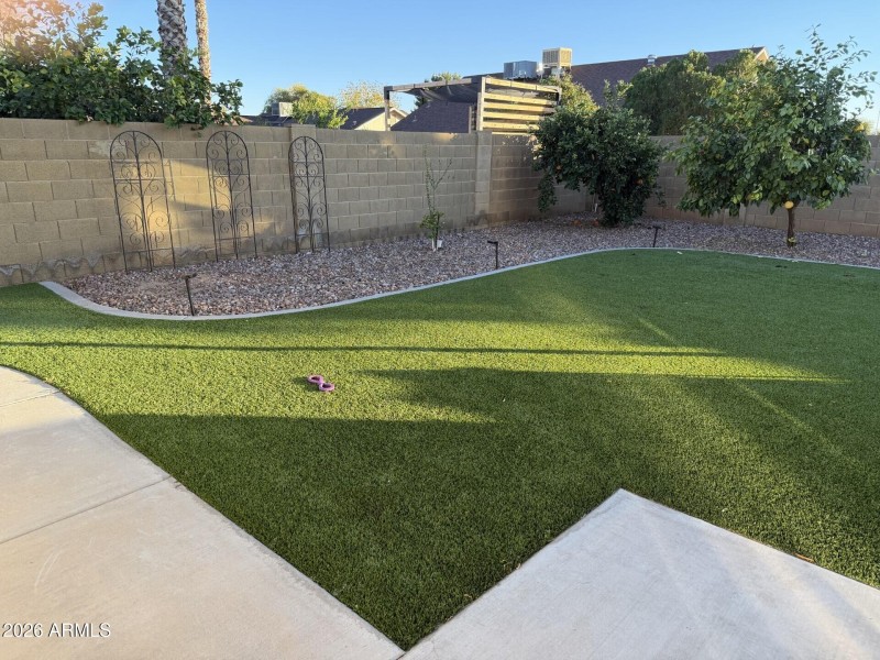 Backyard West Side 2