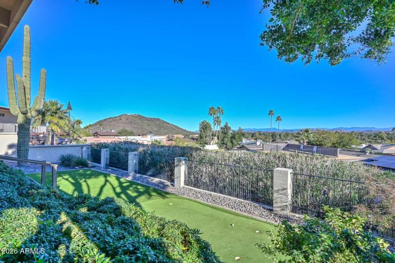 Backyard-Mountain View