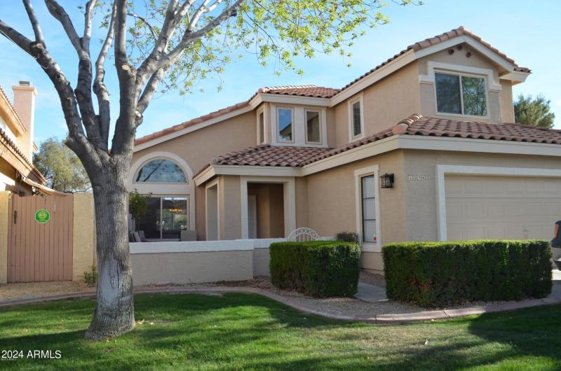 POINSETTIA FRONT VIEW