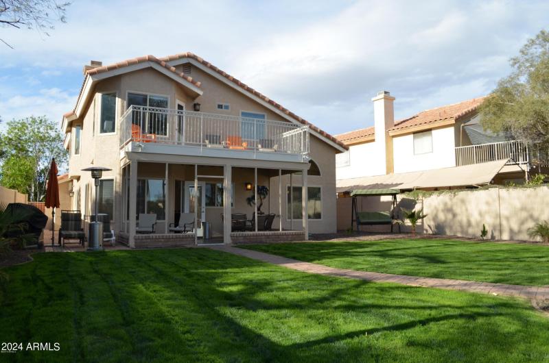 POINSETTIA BACK YARD 2