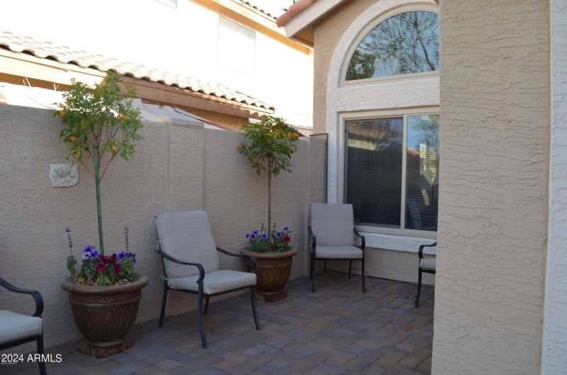 POINSETTIA FRONT YARD